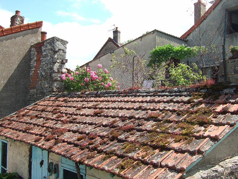 2010-05- (93).JPG